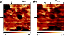 Near-field heat transfer: electromagnetic local density of states vs. thermovoltage data